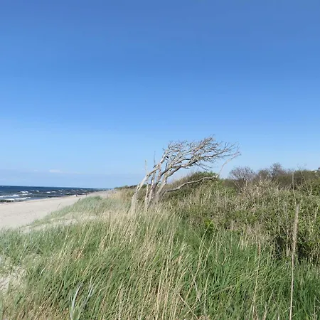 Exkl_ App_ Buhne_ Kamin_ W_lan_ 25 * Börgerende-Rethwisch